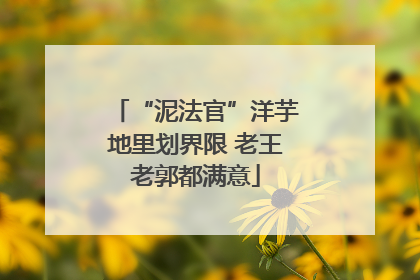 “泥法官”洋芋地里划界限 老王老郭都满意