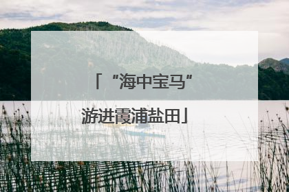 “海中宝马”游进霞浦盐田