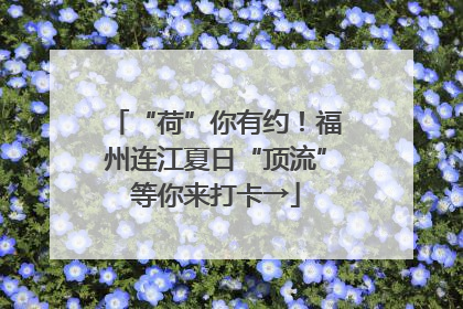 “荷”你有约！福州连江夏日“顶流”等你来打卡→