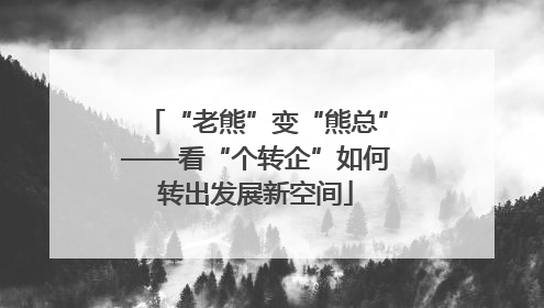 “老熊”变“熊总”——看“个转企”如何转出发展新空间