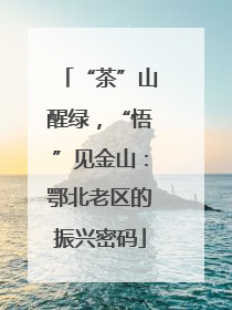 “茶”山醒绿，“悟”见金山：鄂北老区的振兴密码