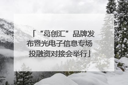 “葛创汇”品牌发布暨光电子信息专场投融资对接会举行