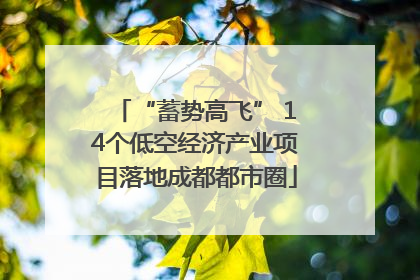 “蓄势高飞” 14个低空经济产业项目落地成都都市圈