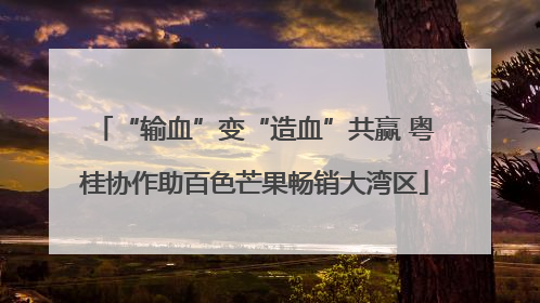 “输血”变“造血”共赢 粤桂协作助百色芒果畅销大湾区