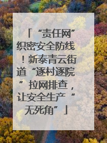 “责任网”织密安全防线！新泰青云街道“逐村逐院”拉网排查，让安全生产“无死角”
