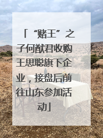 “赌王”之子何猷君收购王思聪旗下企业，接盘后前往山东参加活动