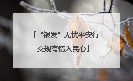 “银发”无忧平安行 交规有情入民心