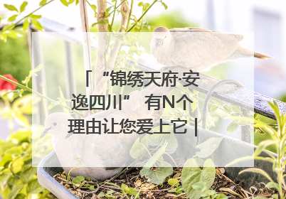 “锦绣天府·安逸四川” 有N个理由让您爱上它｜新闻发布最前线