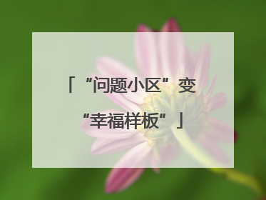 “问题小区”变“幸福样板”