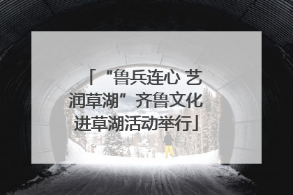 “鲁兵连心 艺润草湖”齐鲁文化进草湖活动举行