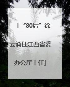 “80后”徐云涌任江西省委办公厅主任