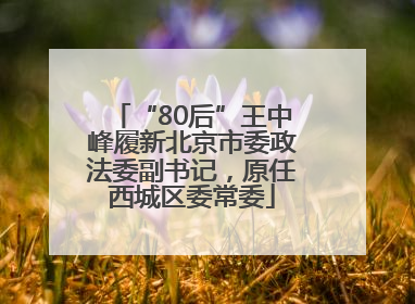 “80后”王中峰履新北京市委政法委副书记，原任西城区委常委