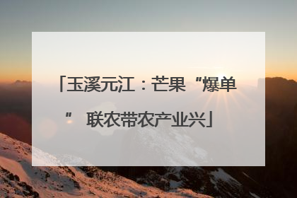 玉溪元江：芒果“爆单” 联农带农产业兴
