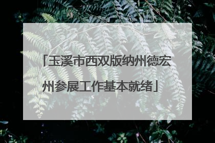 玉溪市西双版纳州德宏州参展工作基本就绪