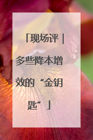 现场评｜多些降本增效的“金钥匙”