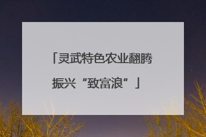 灵武特色农业翻腾振兴“致富浪”