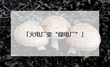 火电厂变“绿电厂”