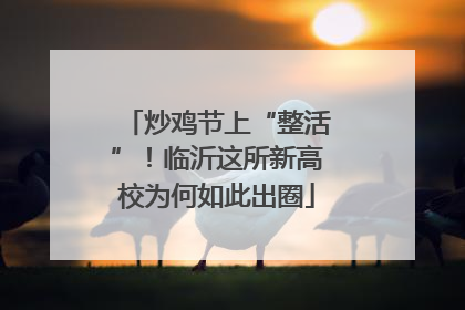 炒鸡节上“整活”！临沂这所新高校为何如此出圈