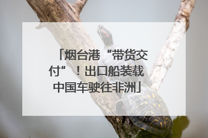 烟台港“带货交付”！出口船装载中国车驶往非洲