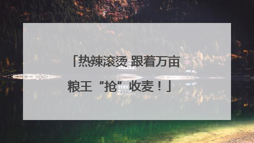 热辣滚烫 跟着万亩粮王“抢”收麦！