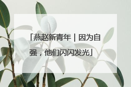 燕赵新青年｜因为自强，他们闪闪发光