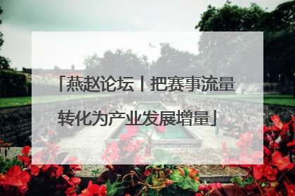 燕赵论坛丨把赛事流量转化为产业发展增量