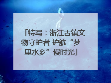 特写：浙江古镇文物守护者 护航“梦里水乡”慢时光