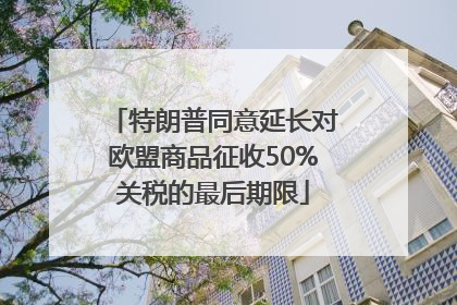 特朗普同意延长对欧盟商品征收50%关税的最后期限