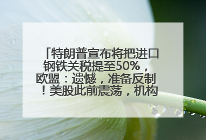 特朗普宣布将把进口钢铁关税提至50%，欧盟：遗憾，准备反制！美股此前震荡，机构：美元正进入熊市