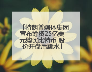 特朗普媒体集团宣布筹资25亿美元购买比特币 股价开盘后跳水