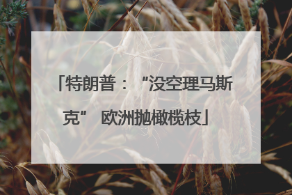 特朗普：“没空理马斯克” 欧洲抛橄榄枝