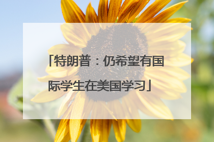 特朗普：仍希望有国际学生在美国学习