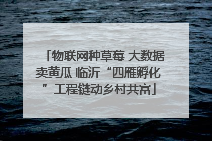 物联网种草莓 大数据卖黄瓜 临沂“四雁孵化”工程链动乡村共富
