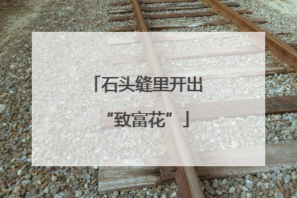 石头缝里开出“致富花”