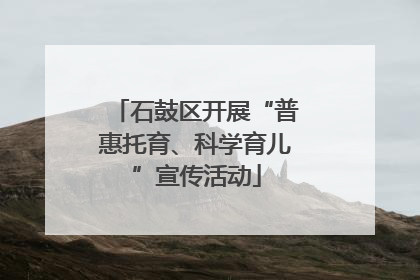 石鼓区开展“普惠托育、科学育儿”宣传活动