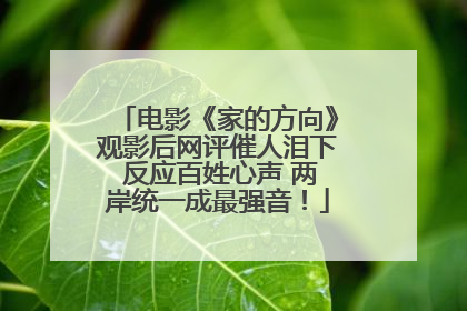 电影《家的方向》观影后网评催人泪下 反应百姓心声 两岸统一成最强音！