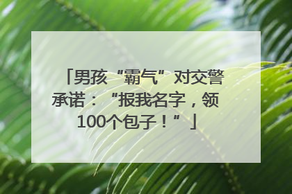 男孩“霸气”对交警承诺：“报我名字，领100个包子！”