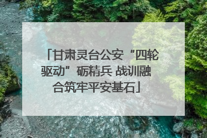 甘肃灵台公安“四轮驱动”砺精兵 战训融合筑牢平安基石