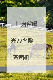 甘肃省曝光77名醉驾司机