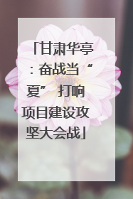甘肃华亭：奋战当“夏” 打响项目建设攻坚大会战