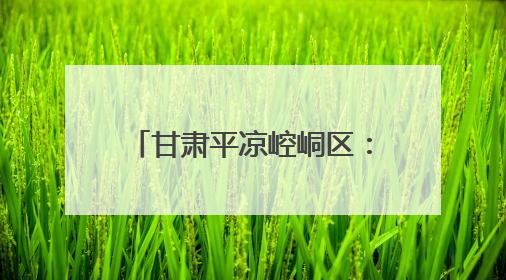 甘肃平凉崆峒区：引进蔬菜新品种 推动产业提档升级