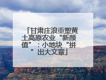 甘肃庄浪重塑黄土高原农业“新颜值”：小地块“拼”出大文章