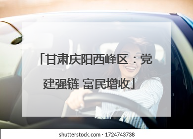 甘肃庆阳西峰区：党建强链 富民增收