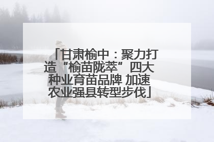 甘肃榆中：聚力打造“榆苗陇萃”四大种业育苗品牌 加速农业强县转型步伐