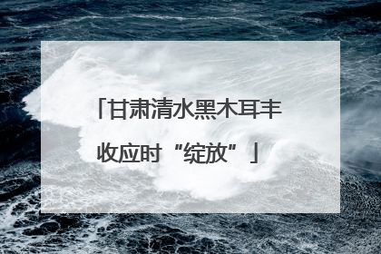 甘肃清水黑木耳丰收应时“绽放”