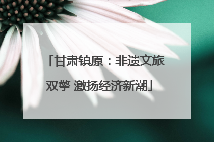 甘肃镇原：非遗文旅双擎 激扬经济新潮
