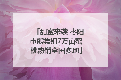 甜蜜来袭 枣阳市熊集镇7万亩蜜桃热销全国多地