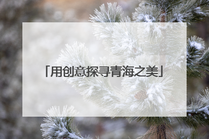 用创意探寻青海之美