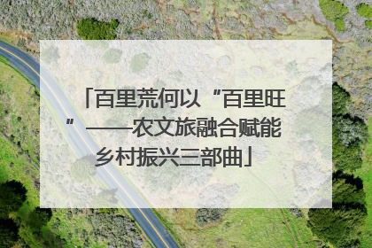 百里荒何以“百里旺”——农文旅融合赋能乡村振兴三部曲