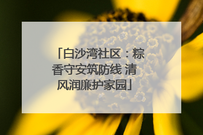白沙湾社区：粽香守安筑防线 清风润廉护家园